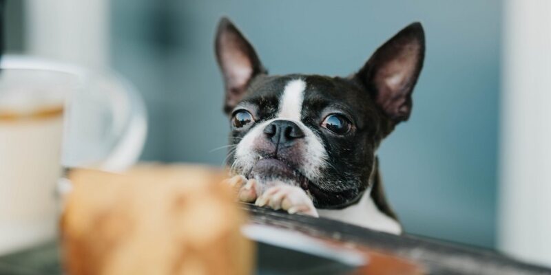 20190701_待て 待て